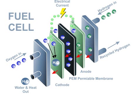 Hydrogen fuel cells and vapour permeability